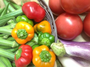 9月はじめの無農薬野菜